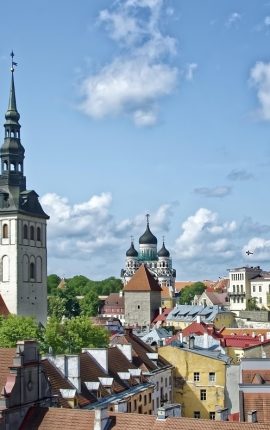 Your Comprehensive Guide to Securing Work Abroad in Estonia