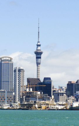 Comprehensive Guide to Preparing for a Move to New Zealand