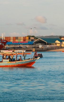 A Comprehensive Guide to Preparing for a Move to Tanzania