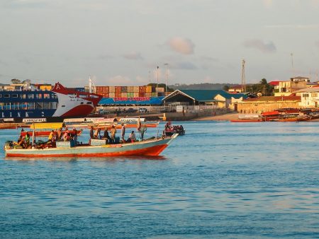 A Comprehensive Guide to Preparing for a Move to Tanzania