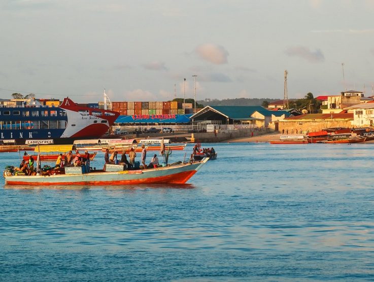 A Comprehensive Guide to Preparing for a Move to Tanzania